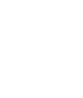 Dominic Rinaldi logo